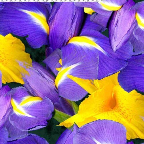 Jersey - lilla/gule blomster